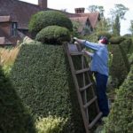heckenschere im Test